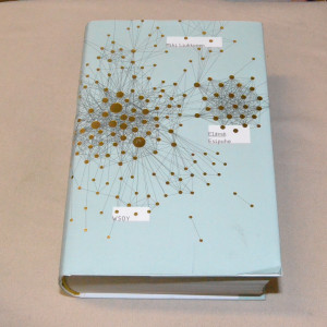 Miki Liukkonen Elämä: Esipuhe